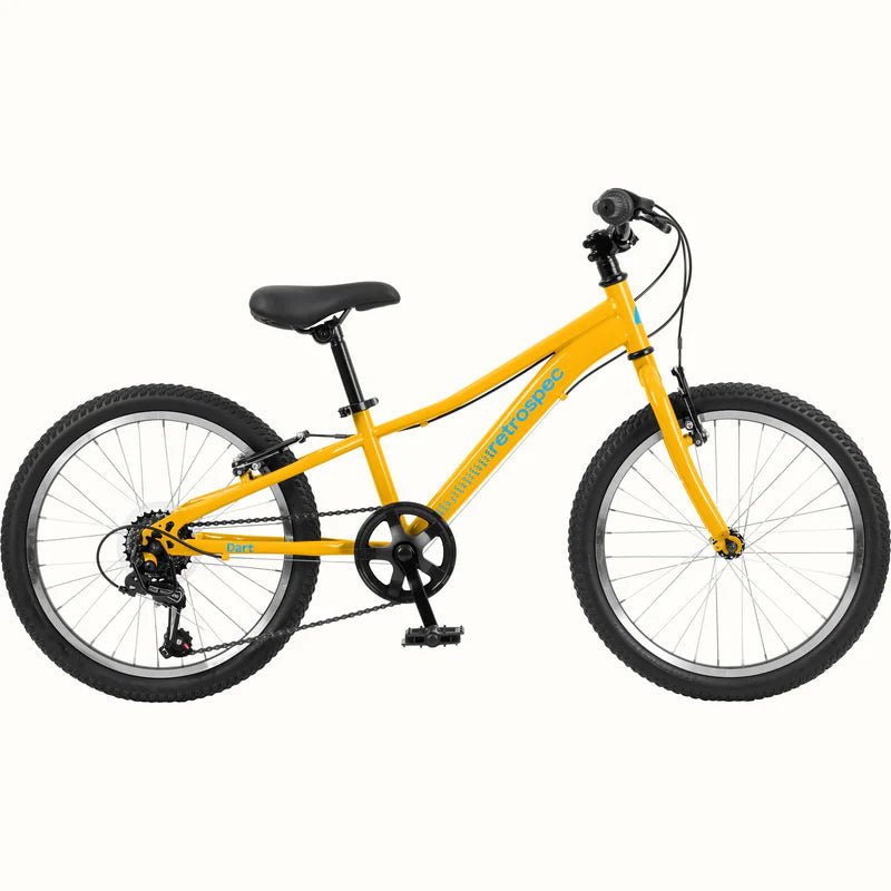 20" City Bike (7 speed) - City Bike