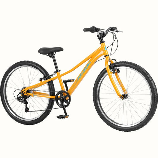 24" City Bike (single speed) - City Bike